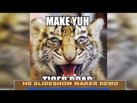 NEW 2014 Dobble K ft. Salty - tiger roar