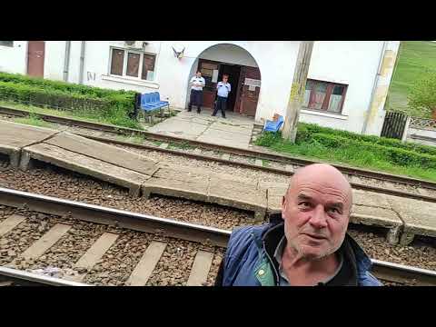 Valea Florilor Asfalt Cadou de Paștile Plandemiei 2021# O minune Mare