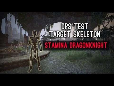 DPS Test Stamina Dragonknight MSA Build Target Skeleton - Homestead