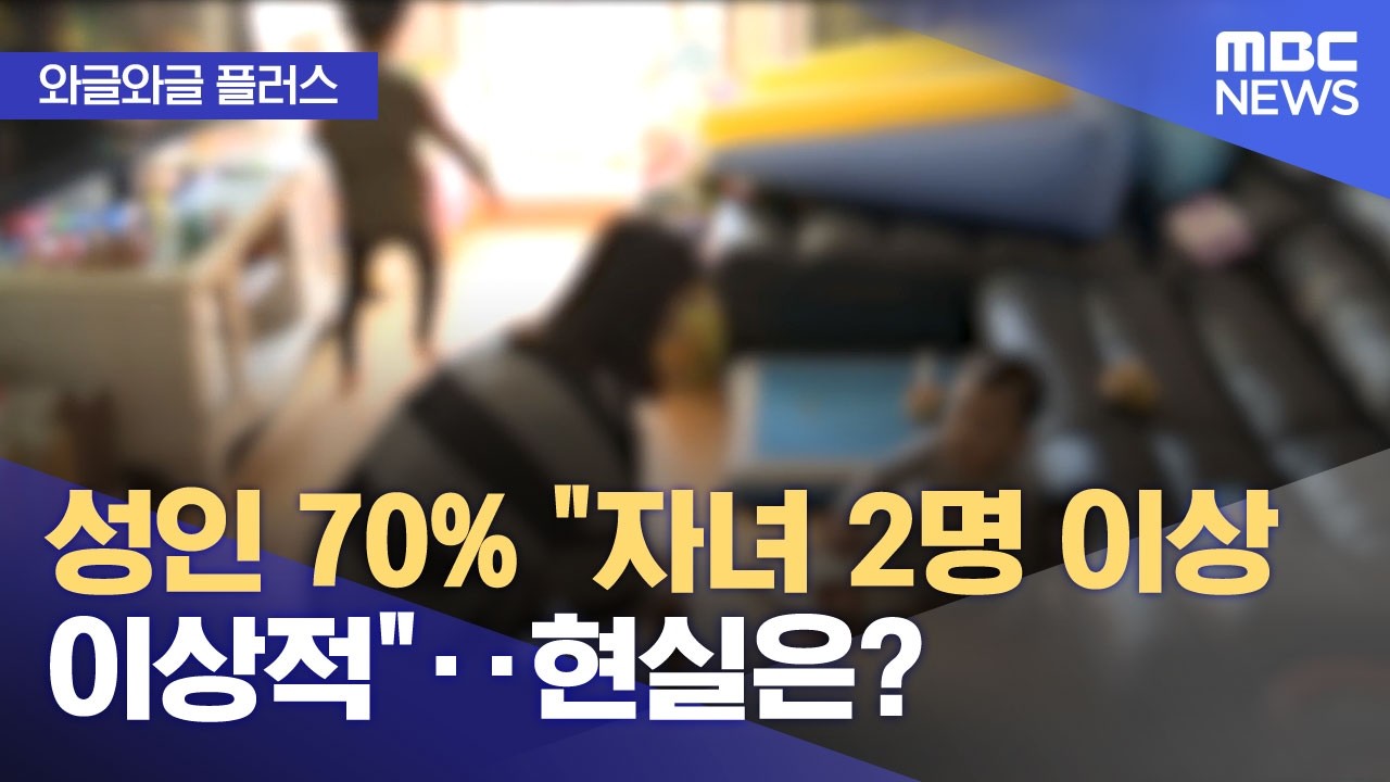 자녀 수 이상과 현실의 격차 MBC 뉴스 분석 정보그래픽