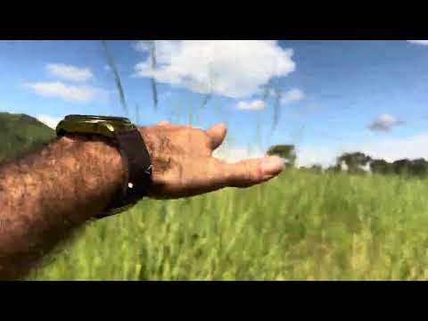 Sítio no município de flores pronto 61998606914