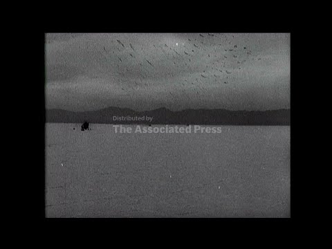 Eyston Breaks Record.