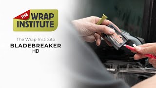 Video 2 trigger image