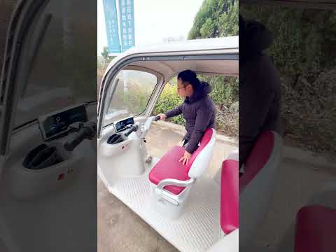 BUBUXIAN Electric Tricycle: Sports equipment, easy transport.