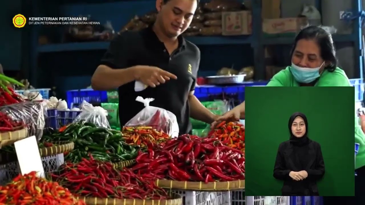 Setelah Swasembada Beras Presiden Dorong Swasembada Protein