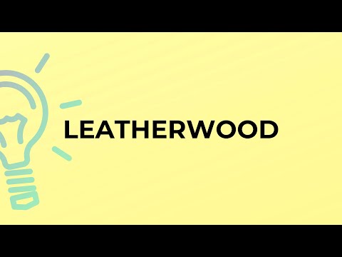 What is the meaning of the word LEATHERWOOD?