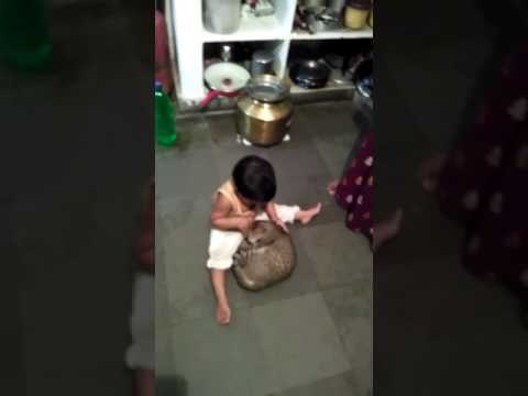 Cute Indian baby playing with Cat with too much funny expressions