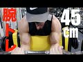 【腕トレ】極太!上腕45cm目指して効率よく追い込む!