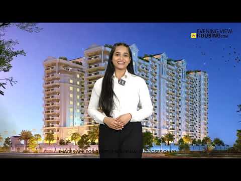 Venus Paradise Project Video 1