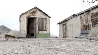 Darwin Trailer (reviews version)