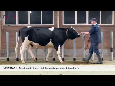 Delta New Star (movie)