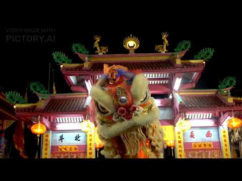 Happy Valentine Day Video