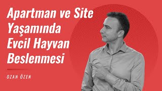 Apartman ve Site Yaşamında Evcil Hayvan Beslenmesi