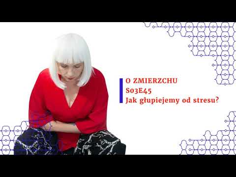 S03E45 Jak głupiejemy od stresu? - O Zmierzchu