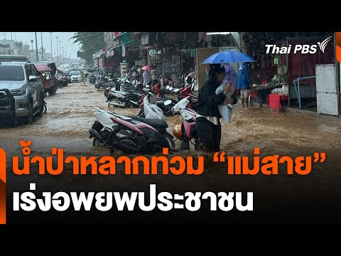 คลิกเพื่อดูคลิปวิดีโอ