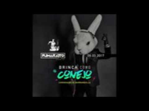 Brinca como conejo fumarato ferroso