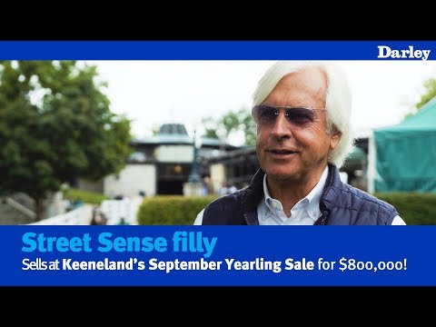 Bob Baffert gets Street Sense filly for $800,000!