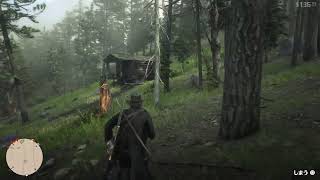 RDR2 5周目 #152