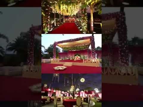 Wedding Planner portfolio by Wedding Vibz in Patna - Photo 0