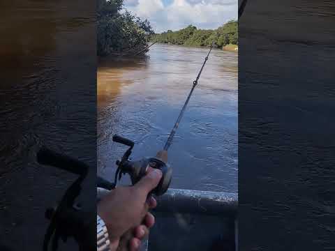 Rio Balsas em . Loreto-MA ❤️🎣