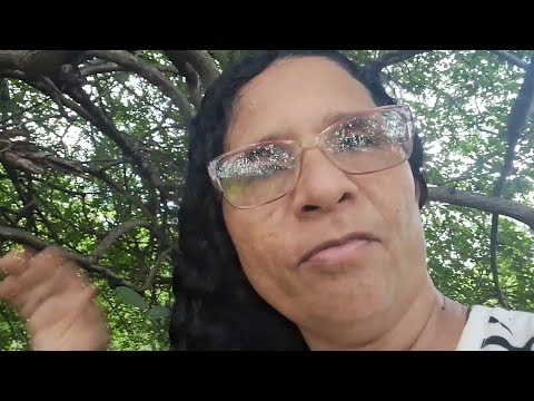 Tirando umbu para as crianças da Edineide em Cachoeirinha PE 