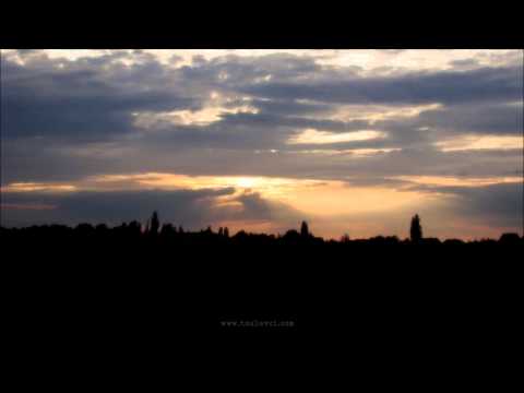 Wabi Ryvola - Island