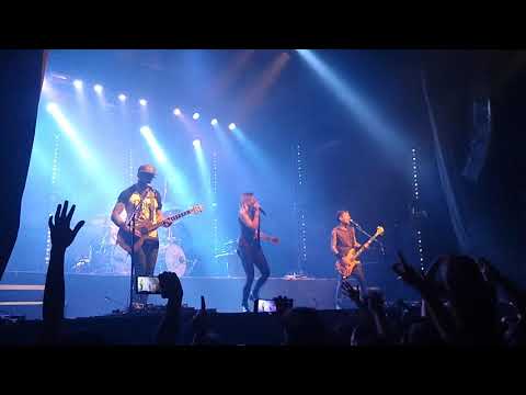 Carajo "Acorazados" con Lula Bertoldi