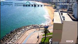 Marejadas UV || Playa Acapulco || Viña del Mar || Chile en vivo