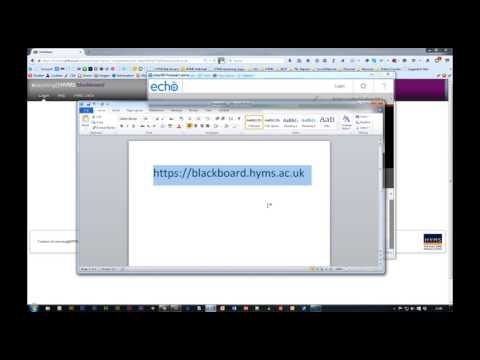 Bb Basics Login In