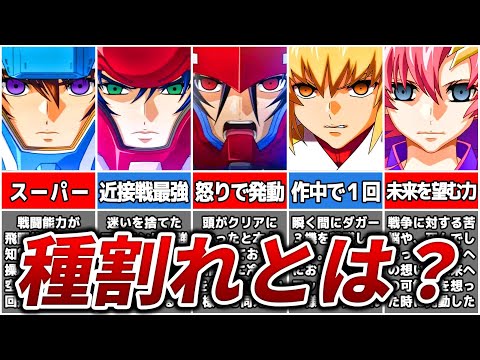 オナイダ・ラクスについて詳しく解説