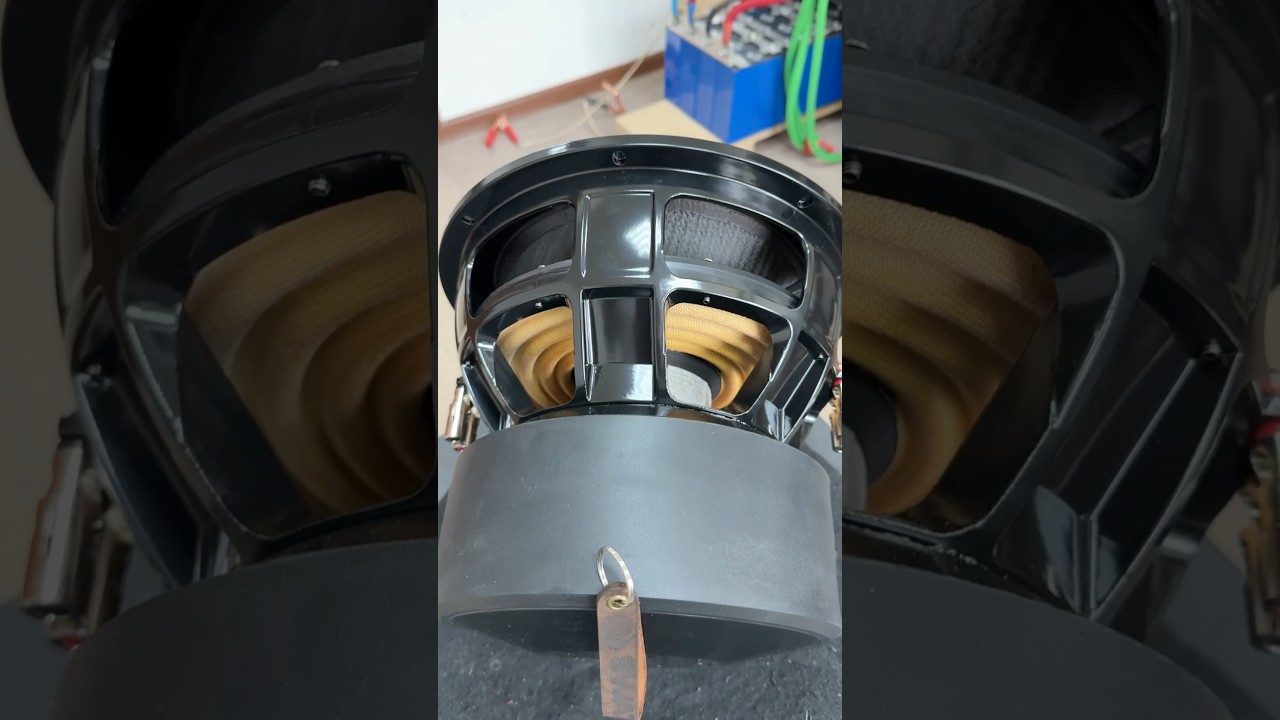 Оооочень ЖИРНАЯ ДВЕНАШКА, с магнитом в размер Корзины!!! 3000 watt rms SWAT FACTORY F-12! #r2v