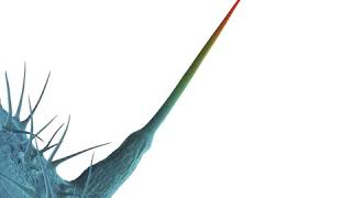 07   Games Without Frontiers