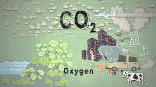 Climate Science in a Nutshell #4: Too Much Carbon Dioxide