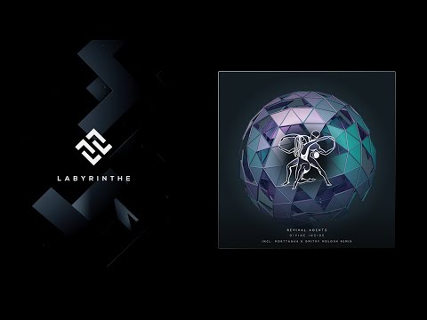 Revival Agents - Divine Inside (Dmitry Molosh Remix) [Timeless Moment]