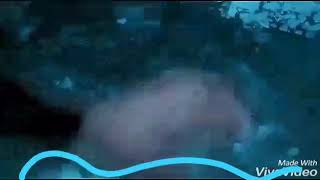 Download lagu Pijet modus mp3 Download lagu Pijet modus mp3