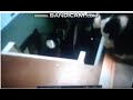 Dinoco S All Mine Upgraded Version Cats Tamil Language
