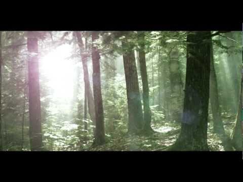 Ram Jam - Music & Arts Festival, 2012