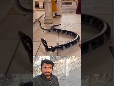 #Timelapse, start to finish alone build log cabin (wooden house), how to build wooden cabin, surviva