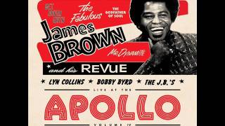 James Brown   never can say goodbye
