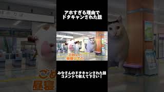 【猫ミーム】ヤバすぎる理由で予定をドタキャンされた話 #猫ミーム #shorts