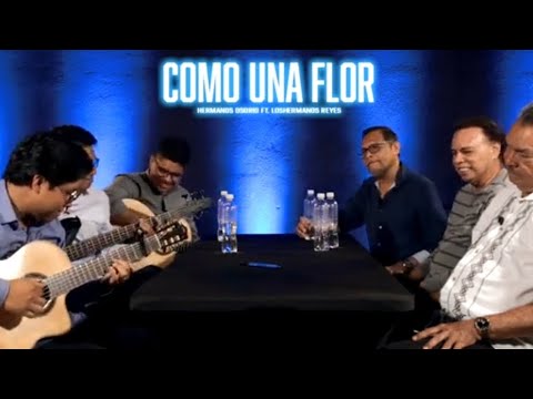 LOS HNOS REYES ///CANTO COMO UNA FLOR .....