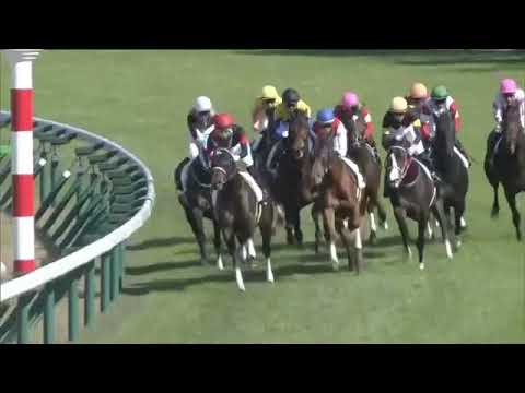 2020.11.15 2yo Newcomer (JPN) - Danon General