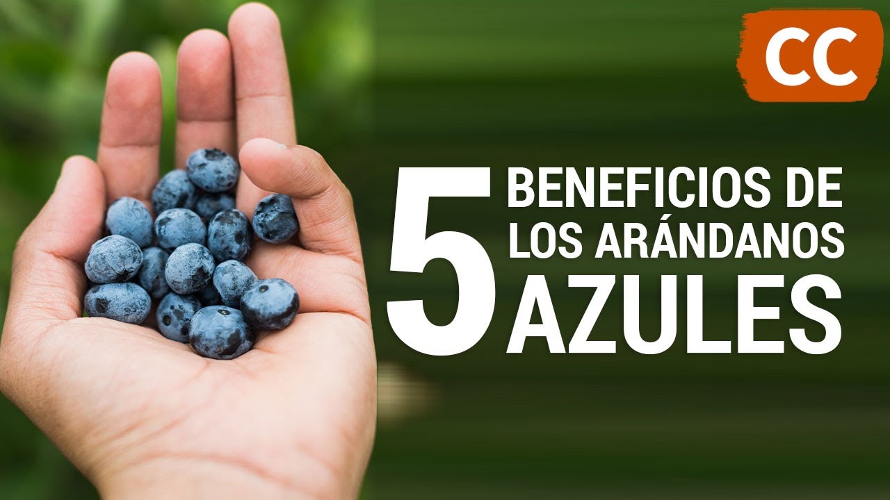 5 Beneficios de los Arándanos Azules | Ciencia de la Comida