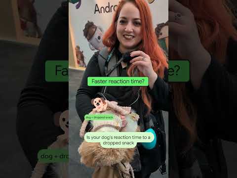 Video Thumbnail: Android vs. Dog (which one will win)