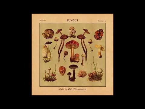 Made in M & Walterwarm - Fungus