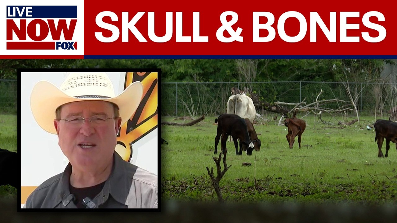 Children find skull, other bones in Florida field