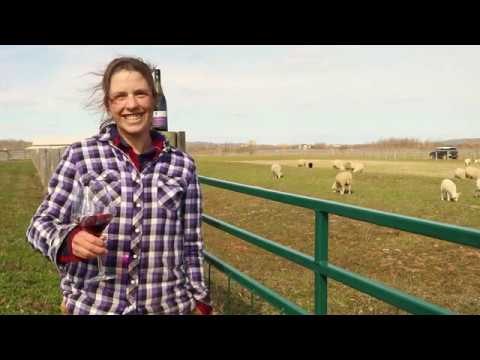 Wine of the Week with Augusta: 2017 Redfoot Gamay Noir