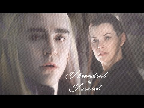 Thranduil & Tauriel | Beat [HBD sibyl vane]