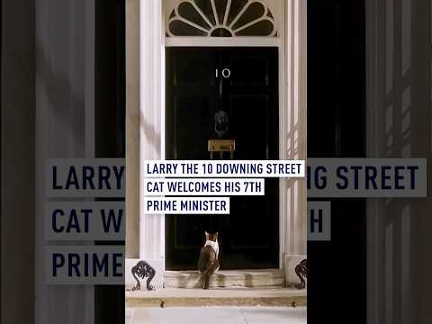 'Politicians come and go': Larry the cat welcomes 7th prime minister