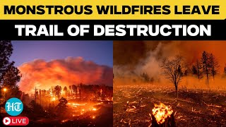 Los Angeles Wildfire LIVE Updates |Southern California Wildfires 2025 |US Wildfires |Hollywood Hills